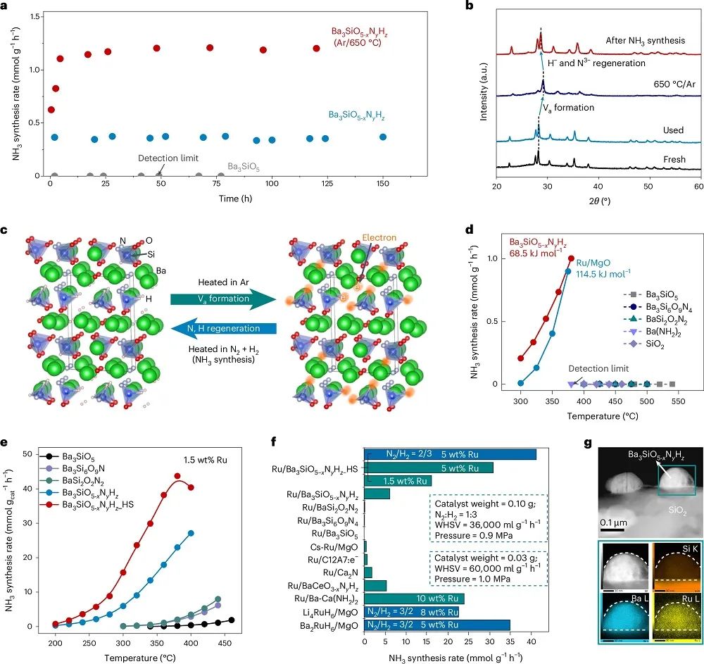低溫氨合成新突破！南京工業(yè)大學(xué)，第一單位發(fā)Nature Chemistry！