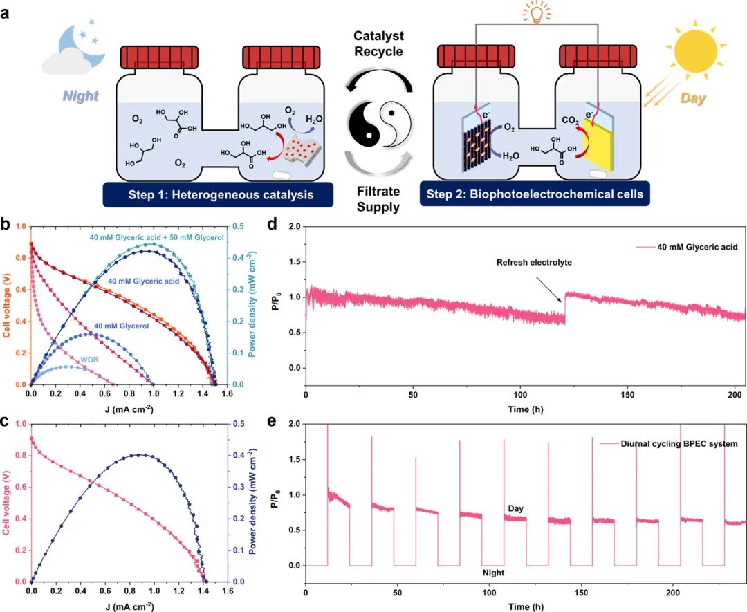 長春應(yīng)化所董紹俊院士，最新JACS！