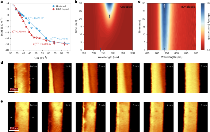 博士生一作！西湖大學(xué) ，Nature Photonics！