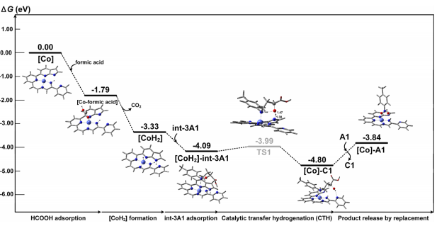 鈷催化！華南理工大學(xué)張珉，新發(fā)JACS！