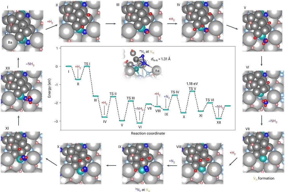 低溫氨合成新突破！南京工業(yè)大學(xué)，第一單位發(fā)Nature Chemistry！